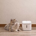 Miniatyrbilde 6 av 7: Kattunge Valp Kjæledyr Vann Dispenser Katt Levende Vann Fontene 2L Elektrisk Fontene Automatisk Smart Hund Drikke Skål