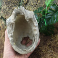 Miniatyrbillede 5 af 6: Harpiks påske ø hoved knogle kranie statue for øgler terrarium krybdyr skjul hule akvarie