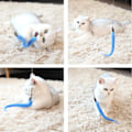 Miniatyrbilde 5 av 6: Uttrekkbar katte leker stav med 5 deler teaser påfyll interaktiv katt fjær leke for katt