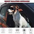 Miniatyrbilde 3 av 6: Vernebriller for hunder hund briller UV beskyttelse briller snø beskyttelse vind beskyttelse støvbeskyttelse med justerbar stropp