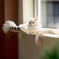 Miniatyrbild 5 av 7: Katt fönster abborre vinter säsong matta lätt tvättbar hängmatta hängande säng