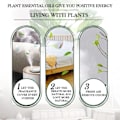 Miniatyrbillede 2 af 3: 10ml Kokos Vanilje Duft Aroma Olie Diffuser Musk