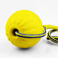 Miniatyrbilde 3 av 6: Kjæledyr ball leke med tau interaktivt hund leker