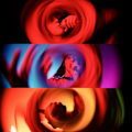 Miniatyrbild 4 av 6: Special Effekter Prism Lens Halo Fx Filter