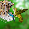 Miniatyrbild 3 av 6: Fågel matare automatisk papegoja matare dricker akryl frö mat behållare bur tillbehör