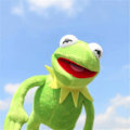 Miniatyrbillede 3 af 6: 25 cm Plyd Kermit Frø Sesam Gade Frøer dukke Muppet Show Plysj Legetøj
