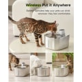 Miniatyrbild 7 av 8: Trådlös Katt Vatten Brunn Auto Sensor Dricksfontän För Katter Hund Drickare Husdjur Vatten Dispenser Tillbehör