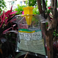 Miniatyrbillede 6 af 7: 6 stykker Hængende Flue Fælde Engangs Flue Fanger Taske Myggefælde Fanger Flue Hveps Insekt Bug Killer Flue Fælde