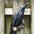 Miniatyrbilde 3 av 7: Falsk ravn harpiks statue fugl kråke skulptur utendørs kråker halloween dekor kreativt for hage