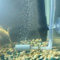 Miniatyrbillede 3 af 4: Akvarium CO2 Diffusor