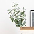 Miniatyrbillede 1 af 8: Kunstige planter lange grønne eukalyptus blade jule pynt