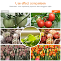 Miniatyrbillede 5 af 8: Indendørs LED Grow Light USB Timer Phyto Lampe Phytolamps Full Spectrum Hydroponics Growing Lamps