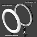 Miniatyrbillede 6 af 7: 10 tommer Selfie Ring Lys, Photography Fill Light Led Ring Lampe Ringlight
