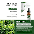 Miniatyrbild 3 av 6: Natural Tea Tree Oil Fuktkräm Ansikte Kropp Hud För Kvinnor Hårvård Doft Aromaterapi Ren Massage Eterisk Olja