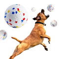 Miniatyrbillede 2 af 5: Bidfast Solid Hund bold legetøj til små store hunde høj elasticitet E-TPU kæledyr tygge bold