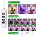 Miniatyrbillede 3 af 7: USB Angel Ring Grow Light Phytolamp til Planter with Control Full Spectrum Fitolamp Lights