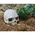 Miniatyrbillede 3 af 6: Harpiks påske ø hoved knogle kranie statue for øgler terrarium krybdyr skjul hule akvarie