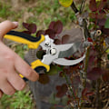 Miniatyrbillede 6 af 10: 1 stykker Beskærer Have saks Professionel Sharp Bypass Beskæring saks