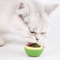 Miniatyrbilde 5 av 5: Avokado Kattemynte Vegg Ball Cat Magic Mint Ball Spiselig Slikke Baller Snack Sunn Roterbar Godbiter Leker