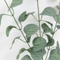 Miniatyrbillede 8 af 8: Kunstige planter lange grønne eukalyptus blade jule pynt