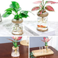 Miniatyrbillede 6 af 7: Mini Hydropon Blomster Krukke Hjem Vase Dekor Transparent Imitation Glas Smudfri Plante Krukker