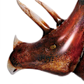 Pikkukuva 6 / 8: Suuri dinosaurukset folio ilmapallo jurassic tyrannosaurus triceratops jalusta dinosaurukset metsä syntymäpäivä juhla koristeet lapset lelut