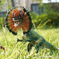 Miniatyrbild 6 av 7: Jurassic World Simulation Dinosaur Toy Solid Velociraptor & Dilophosaurus Boy Toys