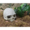 Miniatyrbilde 4 av 6: Harpiks Påskeøy Hode Bein Skull Statue for øgler Terrarium Reptil Skjul Hule Akvarium