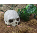 Miniatyrbillede 4 af 6: Harpiks påske ø hoved knogle kranie statue for øgler terrarium krybdyr skjul hule akvarie