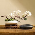 Miniatyrbild 2 av 6: Keramik Vas Blomster Kruka Svart Vit Klersten Deformation Blomster arrangemang Tillbehör