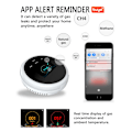 Miniatyrbillede 4 af 7: Tuya Wifi Lækage Med Temperatur Funktion Brændbart Gas Detektorer Support Hjem Smart Life Natural Gas Alarm