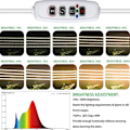 Miniatyrbild 6 av 7: Led Grow Light USB Timer Phyto Lamp Planter Dimbar LED Lampa Phytolamps Full Spectrum Hydroponics Growing Lamps LED Plant Light