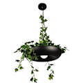 Miniatyrbild 2 av 3: Modern växt hänge lampor gör-det-själv trädgård blomma kruka hängande lampa