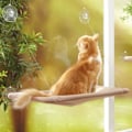 Miniatyrbilde 2 av 8: Kjæledyr hengende senger lager katt vindu sete feste kjæledyr katt hengekøye