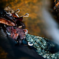 Miniatyrbild 6 av 6: DSLR Kamera Variabel ND Filter Neutral Densitet Fader Justerbar ND2-400 40,5 mm