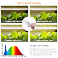 Miniatyrbild 4 av 8: Inomhus LED Grow Light USB Timer Phyto Lampa Phytolamps Full Spectrum Hydroponics Growing Lamps