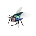 Miniatyrbillede 5 af 6: Infrarød RC Dyr Insekt Legetøj Simulering Spider Bee Fly Krabbe Ladyb Mantis Elektrisk Robot Legetøj