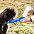 Miniatyrbild 4 av 10: Husdjur Hund Vatten Flaska Plast Bärbar Vatten Flaska Husdjur Ute Resor Dricka Vatten Foder
