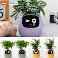 Miniatyrbild 2 av 4: Tuya Ivy Smart Planter,endless Fun Over 49 Rich Expressions