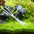 Miniatyrbillede 2 af 4: Akvarium sakse værktøj fisk tank pincet planter bølge sakse græs rustfri rengøring værktøj