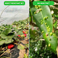 Miniatyrbillede 4 af 7: Have Insekt Beskyttelse Net Plante Grøntsager Frugt Pleje Dæk Blomster Drivhus skadedyr Bekæmpelse net 3*10cm