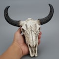 Miniatyrbilde 5 av 7: Harpiks Skjelett Vurm Sau Hode Skull Hode Vegg hengende 3D Dyr Longhorn Skulptur Figuriner Håndverk