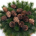 Miniatyrbilde 5 av 7: 10 stk 3CM  Naturlig Billig Mini furu nøtter Kunstig Fask frukt grønnsak til hjemmet pynt jule tre pynt