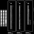 Miniatyrbillede 7 af 7: Elektrisk Precision Skruetrækker 64 in 1 1F+ Plus Trådløs Opladning LED Lys  Strøm Skruetrækker Kit