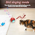 Miniatyrbild 4 av 7: Interactive Cat Toy Ball Super Drive Cat Rolling Balls med fågel kvitter