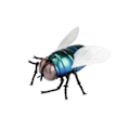 Miniatyrbild 3 av 4: Infraröd RC Fly Kids Infraröd Ray Fjärrkontroll Flies