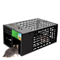 Miniatyrbild 1 av 6: Hög kvalitet Dubbeldörr Stor mus Råttor Live Trap Cage/Strong Catch Bait/Pest Control