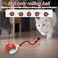 Miniatyrbild 3 av 7: Interactive Cat Toy Ball Super Drive Cat Rolling Balls med fågel kvitter
