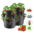 Miniatyrbilde 1 av 6: Vår jordbær vekst pose grønnsak planting pose voks potte plante 5/7/10Gal grow bag hage terrasse