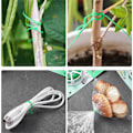 Miniatyrbilde 5 av 7: 1 Rull 100M Multifunksjonell Plast Stål Twist Slips Stødig Gjenbrukbar Hage Blomst Plante Støtte Stropp Slips